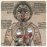 The body drawn from an Ayurvedic understanding of human anatomy.